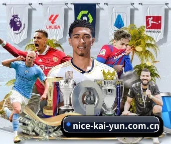 kaiyun APP