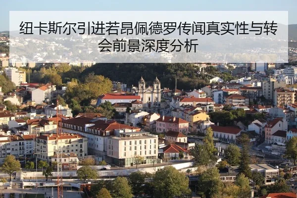 纽卡斯尔引进若昂佩德罗传闻真实性与转会前景深度分析
